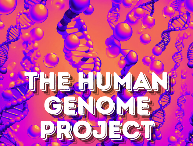 human genome project