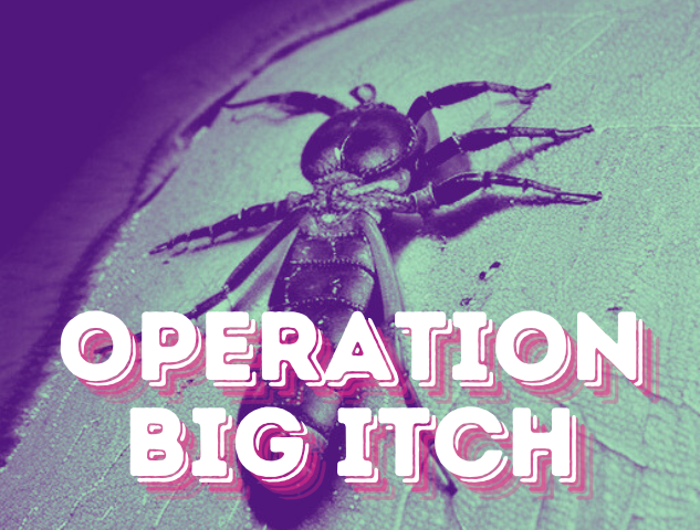 operation big itch