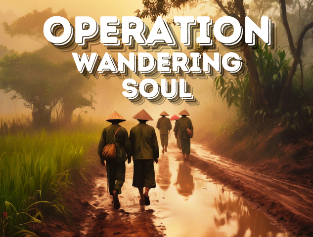 operation wandering soul