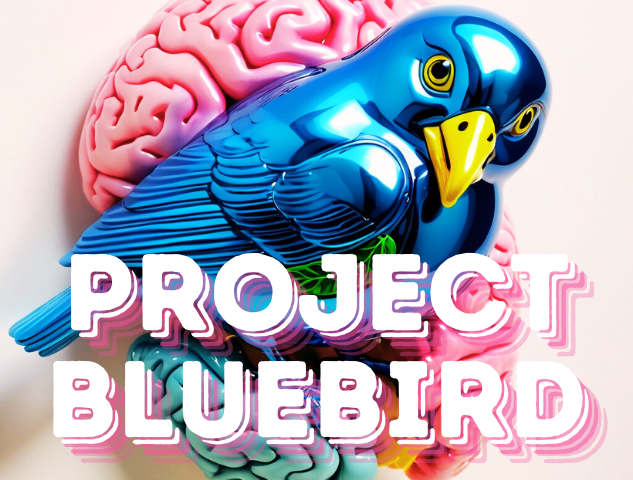 project blue bird