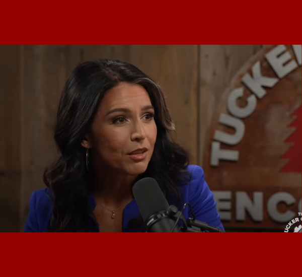 tulsi gabbard biden deep state